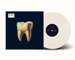 Anna Buchegger - Soiz (Album #2 Vinyl)